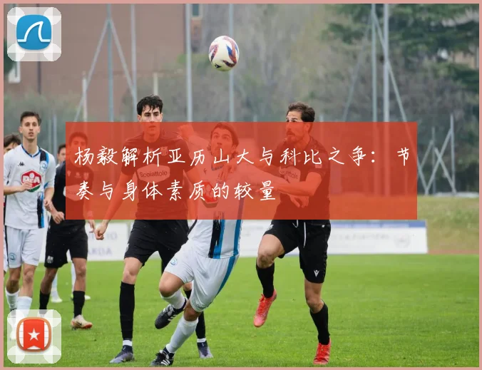 杨毅解析亚历山大与科比之争：节奏与身体素质的较量
